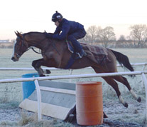 Haighall