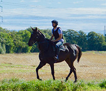 Slanemore Hill